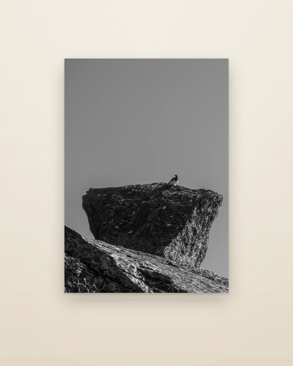 The aluminium print of The Lookout, frameless, shown whole: a rock ptarmigan on top of a large boulder against a pale sky