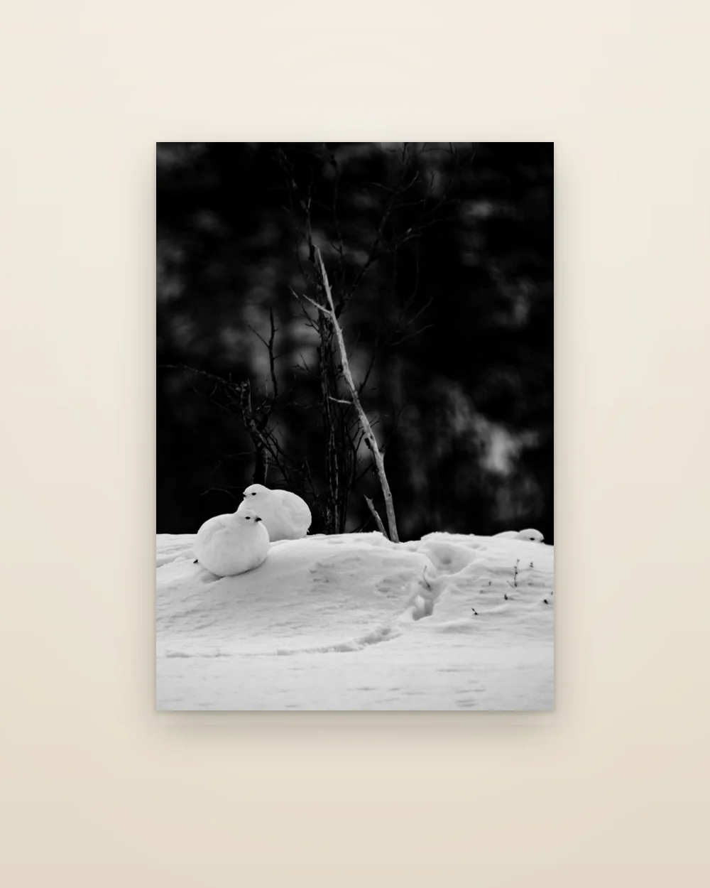 The aluminium print of Three, frameless, shown whole